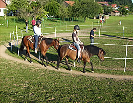 Reitm�glichkeit im Bayerischen Wald 