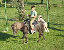 Pony Felix mit Reiter auf dem Schm�llerhof im Bayerischen Wald