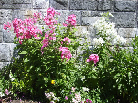 Garten Schm�llerhof