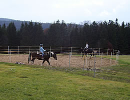 Reiten auf den Pferden des Schm�llerhofes mit Ferienwohnung und Doppelzimmern im Bayerischen Wald