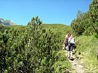 Wandern rund um Krimml, Wanderurlaub im Nationalpark Hohe Tauern, Österreich 3