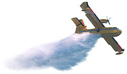 airplane