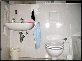 Blick ins Bad mit der Badewanne/WC