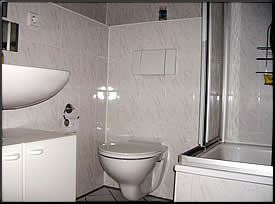 Blick ins Bad mit der Dusche/WC