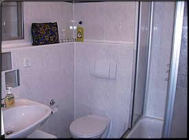 Blick ins Badezimmer mit der Dusche/WC