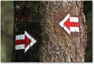 � Photographer: Ryszard Laskowski | Agency: Dreamstime.com
