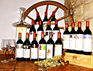 Mouton_Sammlung.jpg