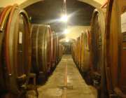 Mouton_Sammlung.jpg