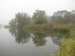 a/Novemberfischen (17).jpg