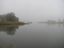 a/Novemberfischen (20).jpg