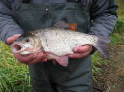 b/Novemberfischen (45).jpg