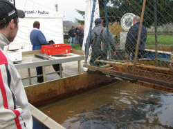 b/Novemberfischen (47).jpg