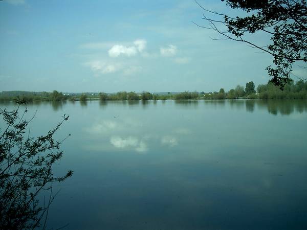 Der Vogelsee