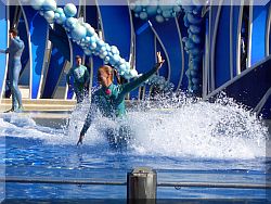 Sea World, Orlando.