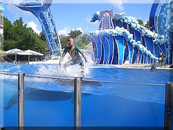 Sea World, Orlando.