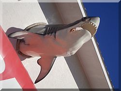 Key West, fishing.