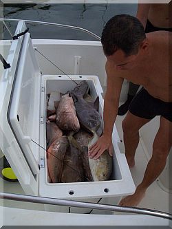 Spearfishing in Florida, Key West.