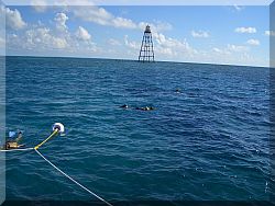 Key West, Tauchen.