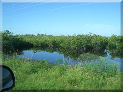 Everglades, Florida.