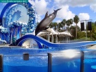sea world, orlando, florida navigator 009.jpg