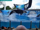 sea world, orlando, florida navigator 011.jpg
