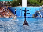 sea world, orlando, florida navigator 012.jpg