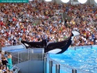 sea world, orlando, florida navigator 016.jpg