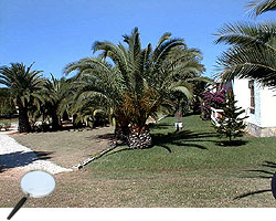 Der Park um Casa Elisa