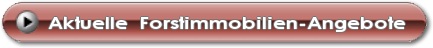 Forstimmobilien - Angebote