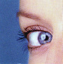 Auge Sehvermögen