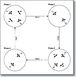 Phasenablaufplan