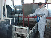 Stallluftmessung
