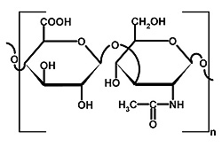 vernetzte Hyalurons&auml;ure (z.B. Restylane, Macrolane) zur Faltenbehandlung, Faltenunterspritzung, Brustvergr&ouml;&szlig;erung etc.