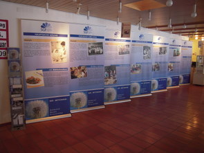 Wanderausstellung, weitere Panels