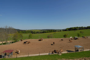 Vereinsreise Zwischenhalt in Le Roselet