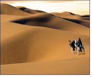 Sahara