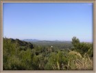 Finca Son Duri Ausblick vom zuk�nftigen Labyrith