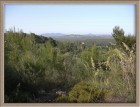 Finca Son Duri Blick nach Poto Christo