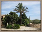 Finca Son Duri Auffahrt 2