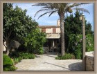 Finca Son Duri Auffahrt 1