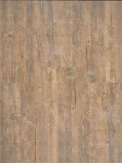 Brauneiche antik