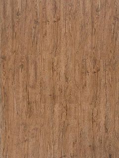 Franz�sische Eiche