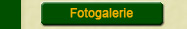 Fotogalerie