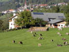 Unsere Hofstelle