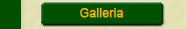Galleria