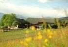 Unser Bauernhof im Sommer.jpg