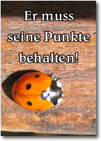 Punkte abbauen !