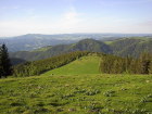 Erlenbach