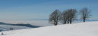 Schauinsland Winter