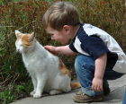 [Tiere] Gast mit Katze